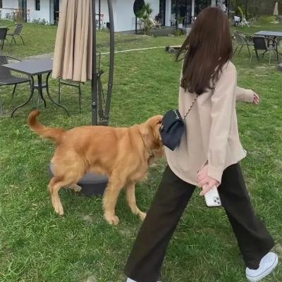 花间新娘